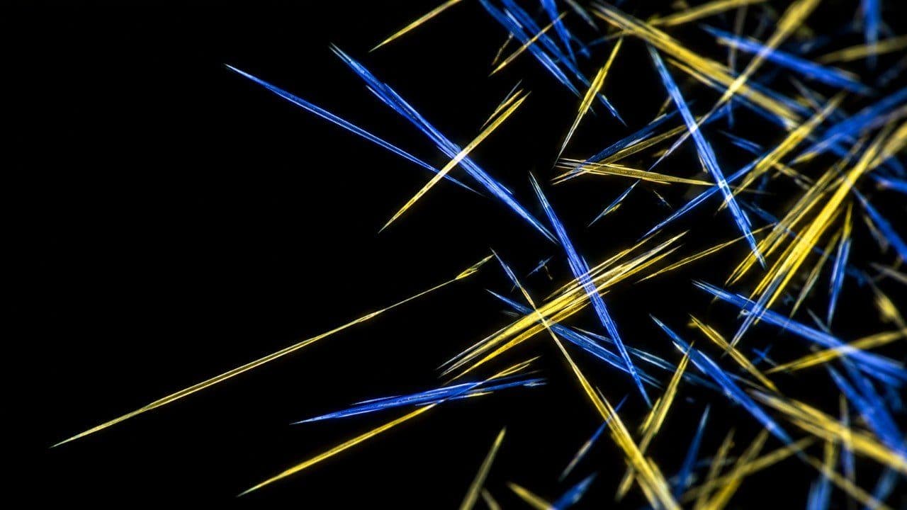 Polarised-light microscopy on a black field: dozens of long, straight, needle-shaped crystals lying at every angle and crossing over one another, each one glowing along its length in either bright yellow or deep blue.
