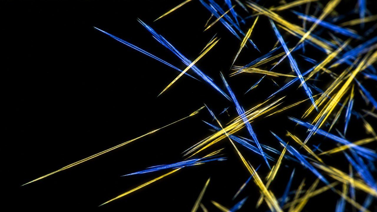 Polarised-light microscopy on a black field: dozens of long, straight, needle-shaped crystals lying at every angle and crossing over one another, each one glowing along its length in either bright yellow or deep blue.